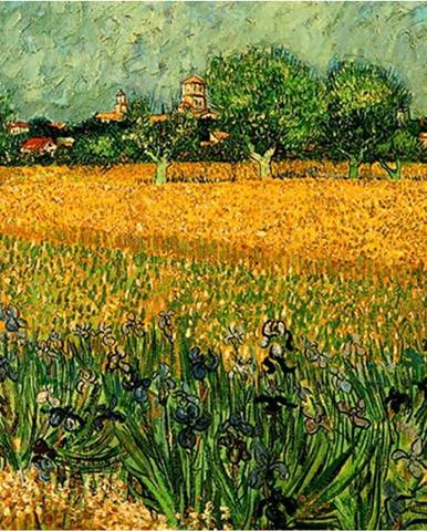 Reprodukce obrazu Vincenta van Gogha - View of arles with irises in the foreground, 40 x 30 cm