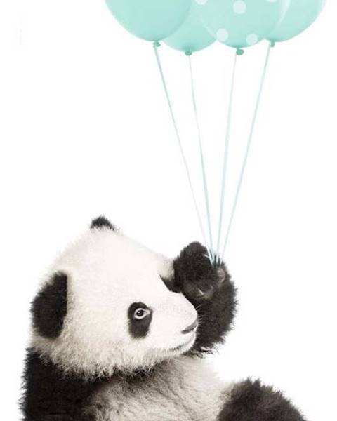 Dekornik Nástěnná samolepka Dekornik Minty Panda, 55 x 92 cm