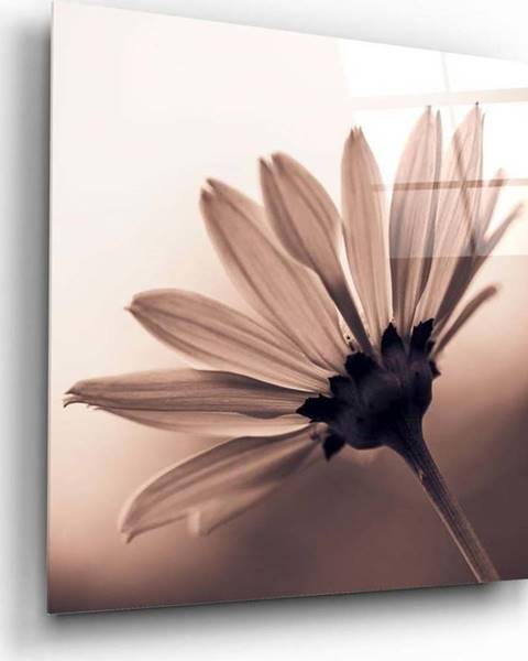 Insigne Skleněný obraz Insigne Flower, 40 x 40 cm