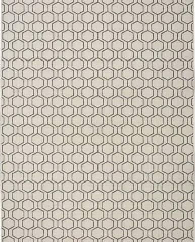 Šedobéžový venkovní koberec Universal Clhoe, 120 x 170 cm
