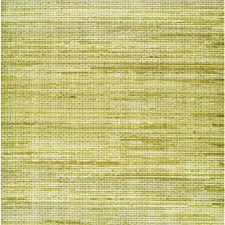 Zelený venkovní koberec Universal Vision, 160 x 230 cm
