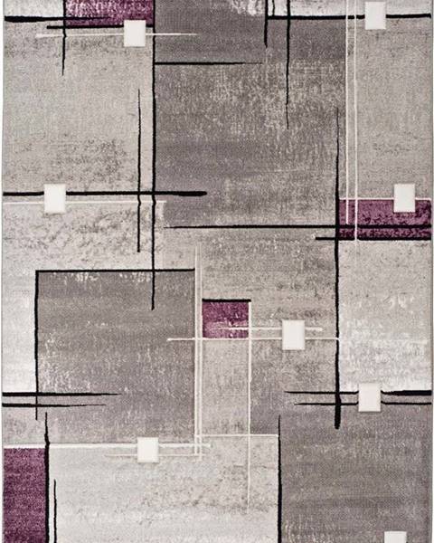 Universal Šedo-fialový koberec Universal Detroit, 120 x 170 cm