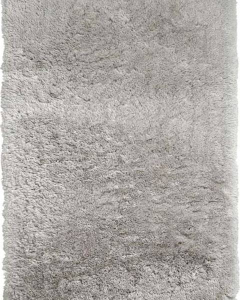 Think Rugs Světle šedý koberec Think Rugs Polar, 80 x 150 cm