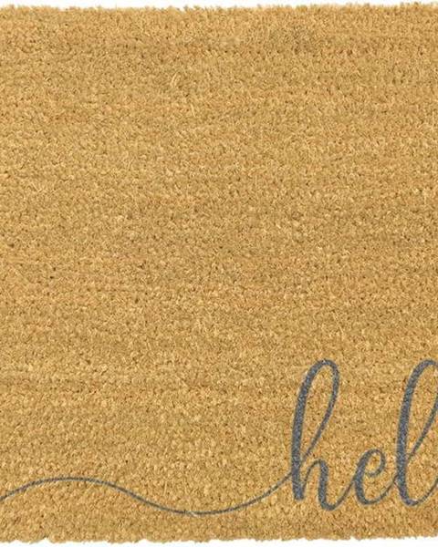 Artsy Doormats Šedá rohožka z přírodního kokosového vlákna Artsy Doormats Hello Scribble, 40 x 60 cm