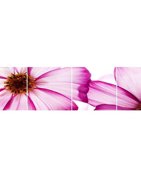 BAUMAX Skleněný panel 60/240 Flowers-1 4-Elem