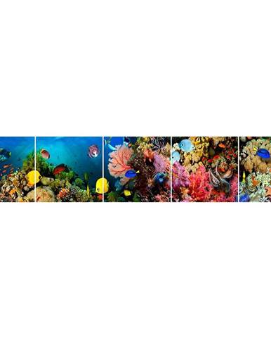 Skleněný panel 60/300 Aquarium-1 5-Elem