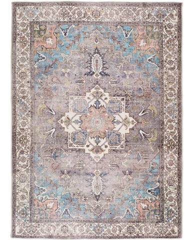 Modro-hnědý koberec s podílem bavlny Universal Haria, 160 x 230 cm