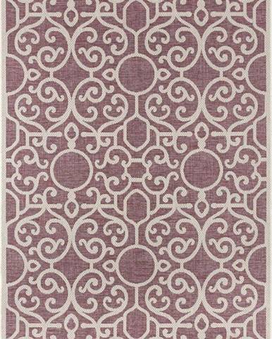 Fialovo-béžový venkovní koberec Bougari Nebo, 70 x 140 cm
