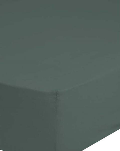 HIP Tmavě zelené elastické prostěradlo z bavlněného saténu HIP, 90 x 200 cm