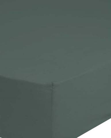 Tmavě zelené elastické prostěradlo z bavlněného saténu HIP, 90 x 200 cm