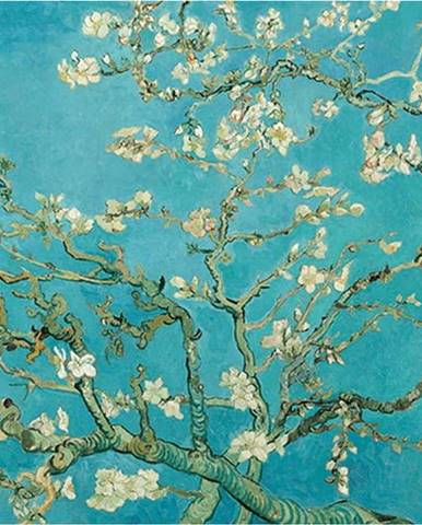 Reprodukce obrazu Vincenta van Gogha - Almond Blossom, 60 x 45 cm