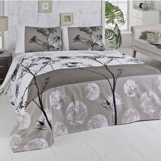 Lehký bavlněný přehoz přes postel na dvoulůžko Belezza Grey, 200 x 230 cm