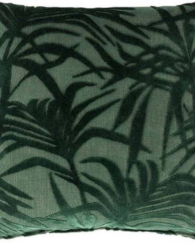Zelený polštář s výplní Zuiver Miami, 45 x 45 cm