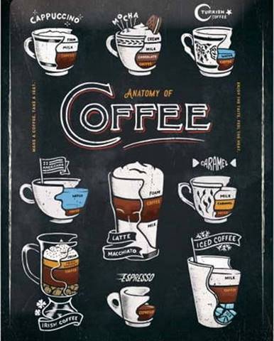 Nástěnná dekorativní cedule Postershop Anatomy of Coffee