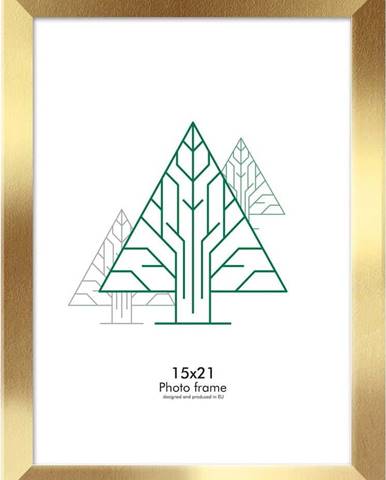Nástěnný rámeček ve zlaté barvě Styler Floryda, 18 x 24 cm