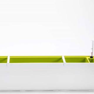 Bílo-zelený samozavlažovací truhlík, délka 78 cm Berberis - Plastia