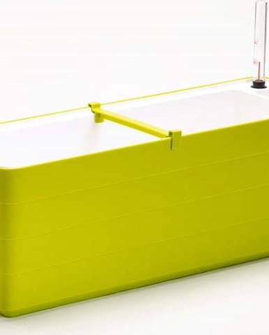 Zelené-bílý samozavlažovací truhlík Plastia Berberis , délka 59 cm