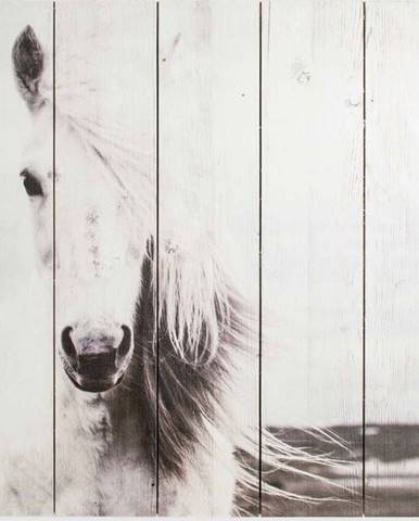 Dřevěný obraz Graham & Brown Horse, 50 x 50 cm