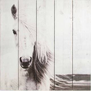 Dřevěný obraz Graham & Brown Horse, 50 x 50 cm