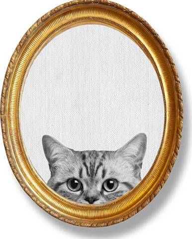 Oválný nástěnný obraz Really Nice Things Cat, 40 x 50 cm