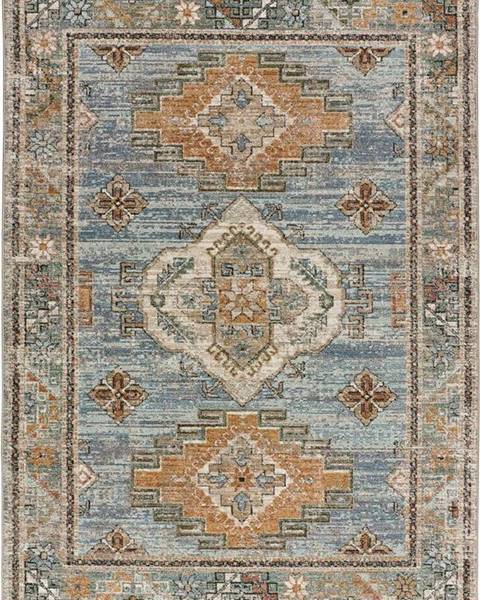 Modrý koberec Universal Cambridge, 200 x 290 cm