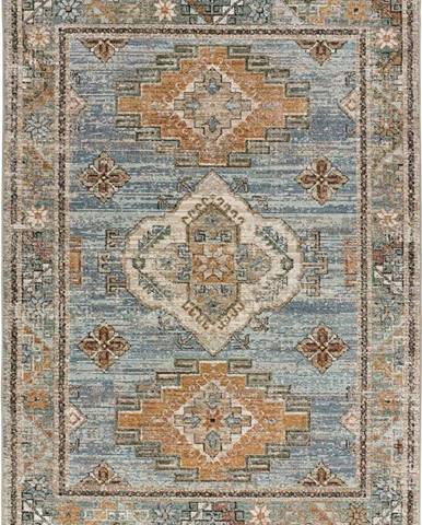 Modrý koberec Universal Cambridge, 80 x 150 cm