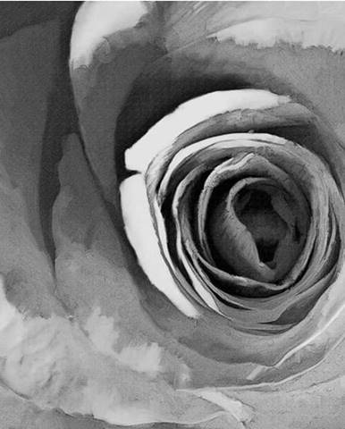 Velkoformátová tapeta Artgeist Paper Rose, 400 x 309 cm
