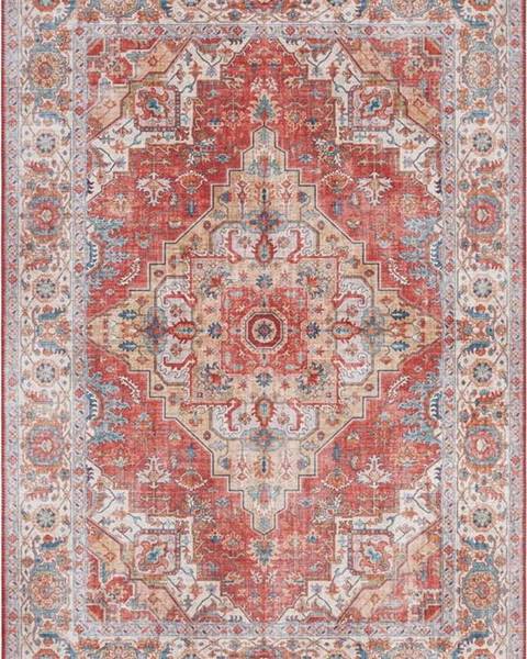 Nouristan Cihlově červený koberec Nouristan Sylla, 200 x 290 cm
