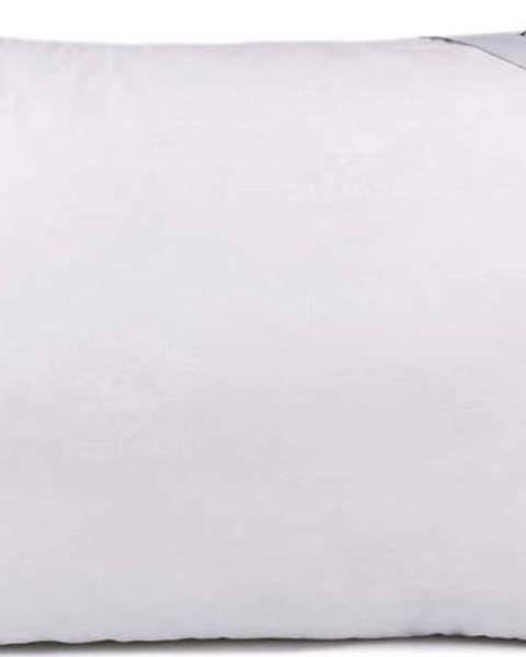 Beverly Hills Polo Club Bílá bavlněná polštářová výplň Nelsy, 50 x 70 cm