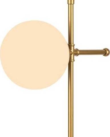 Stolní lampa ve zlaté barvě Squid Lighting Kruva, výška 55 cm
