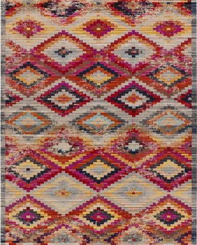 Červený venkovní koberec 190x133 cm Sassy - Universal