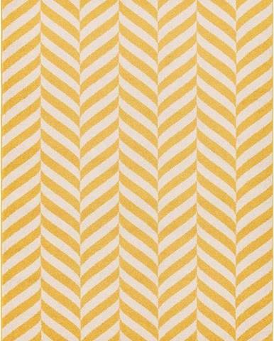 Žlutý koberec 290x200 cm Muse - Asiatic Carpets