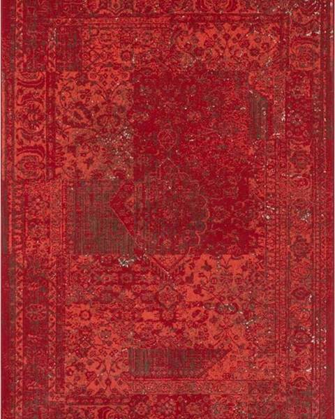Hanse Home Červený koberec Hanse Home Celebration Plume, 80 x 150 cm