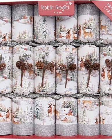 Vánoční crackery v sadě 6 ks Aspen Sparkle - Robin Reed